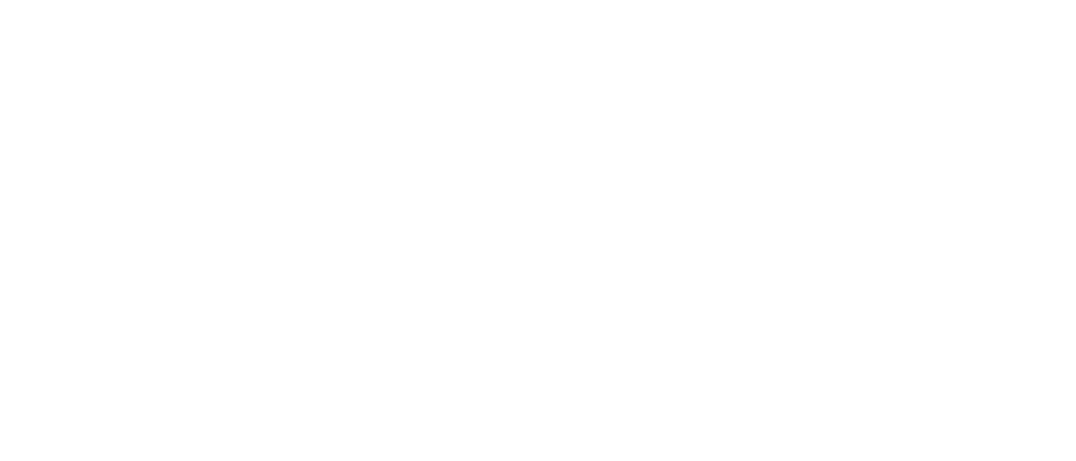 logoicon